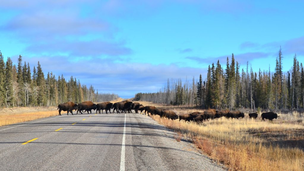 VivreauxTerritoires_TNO_Celine_04